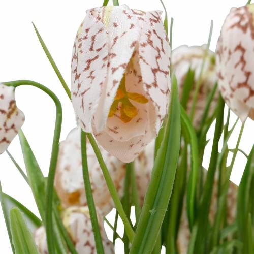Floristik24 Krukad konstgjord schackbrädeblomma, vårblomma Fritillaria, sidenblomma Röd Vit