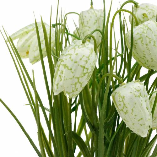 Floristik24 Fritillaria i kruka, rutblomma grön och vit, konstgjord blomma