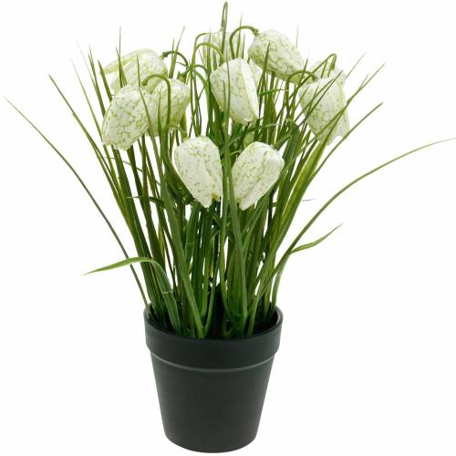 Floristik24 Fritillaria i kruka, rutblomma grön och vit, konstgjord blomma