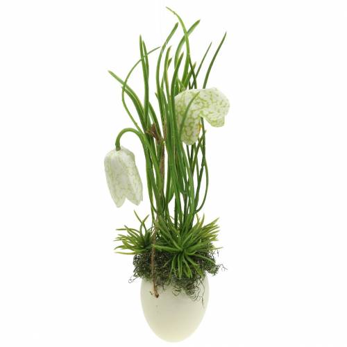 Floristik24 Fritilaria i äggskalet för att hänga konstgjord grön, vit 25cm