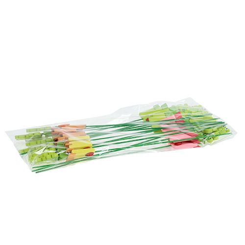 Floristik24 Groda i en blomkruka blandad. 9cm L28cm 16 st