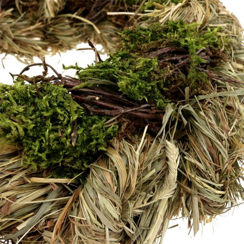 Floristik24 Vårkrans Ø30cm natur 1st