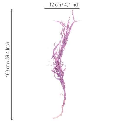 Artikel Torkade rävsvansblommor, färgade, för modern heminredning, 100 cm, 5 stycken