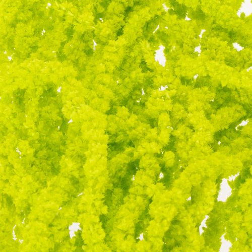 Artikel Torkade rävsvansblommor, färgade, för speciell heminredning och unika accenter, 100 cm, 5 stycken