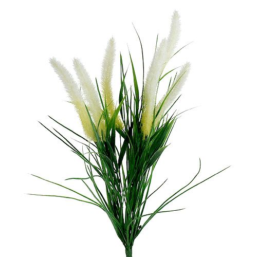 Floristik24 Foxtail gräsgrön, vit 63cm