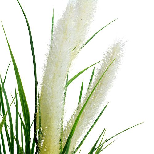 Floristik24 Foxtail gräsgrön, vit 63cm