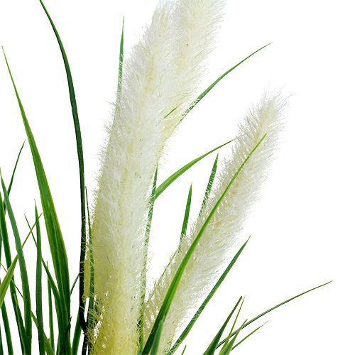 Artikel Foxtail gräsgrön, vit 63cm