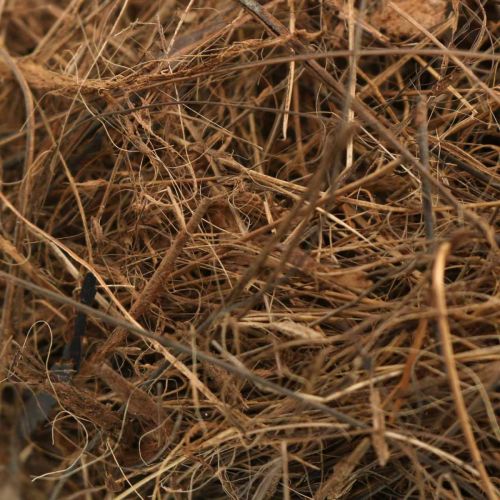 Artikel Fyllnadsmaterial för arrangemang dekorativa fibrer Palmyra palmfiber 1kg