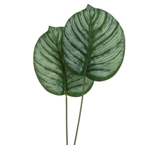 Artikel Calathea Konstgjord Korg Marante Konstgjorda växter Grön 51cm