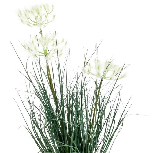 Floristik24 Bulrush Grass Konstgjord blomma Konstgjorda blommor i kruka 56cm