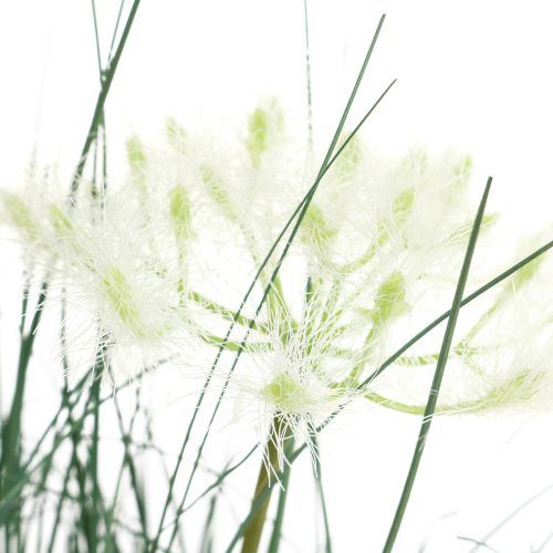 Floristik24 Bulrush Grass Konstgjord blomma Konstgjorda blommor i kruka 56cm