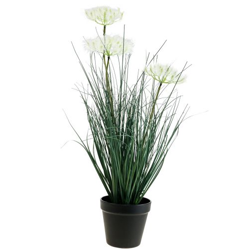 Floristik24 Bulrush Grass Konstgjord blomma Konstgjorda blommor i kruka 56cm