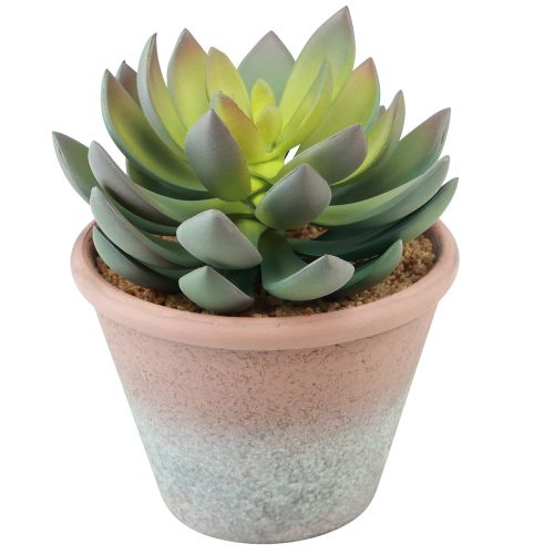 Artikel Suckulentväxt i kruka Echeveria konstgrön vintage Ø15cm H16cm