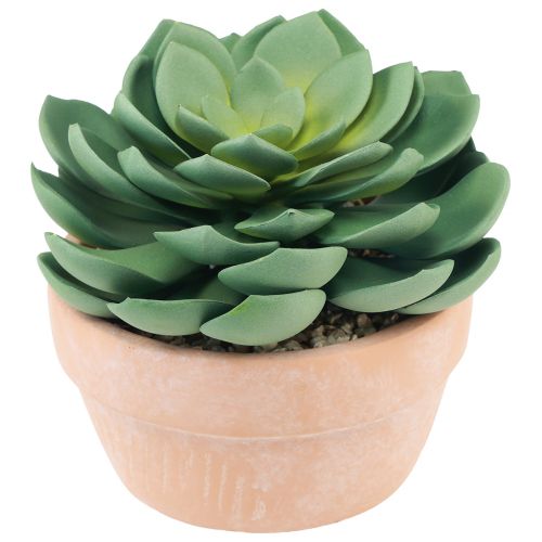 Artikel Suckulentväxt i kruka Echeveria konstgrön Ø15cm