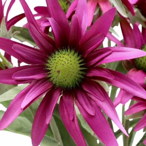 Floristik24 Echinacea blomma konstgjord ljung 45cm 3st