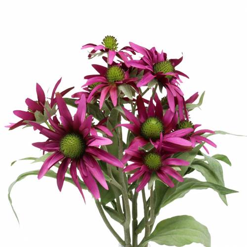 Floristik24 Echinacea blomma konstgjord ljung 45cm 3st