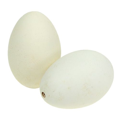 Floristik24 Gåsägg vita 7cm - 8cm 6st