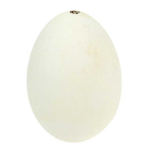 Floristik24 Gåsägg vita 7cm - 8cm 6st
