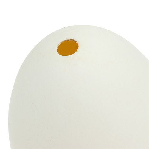 Floristik24 Gåsägg vitt 7cm 4st