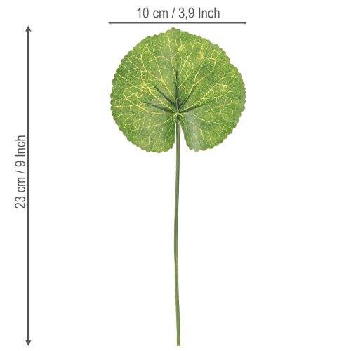Artikel Galax Urceolata Blad Artificiell Grön Ø10cm L23cm 12 st
