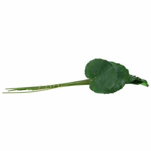 Floristik24 Bronsplåt Galax konstgjord grön Ø9cm H30cm 12st