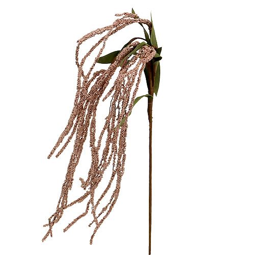 Floristik24 Trädgårdsrävsvans 95cm