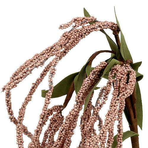 Floristik24 Trädgårdsrävsvans 95cm