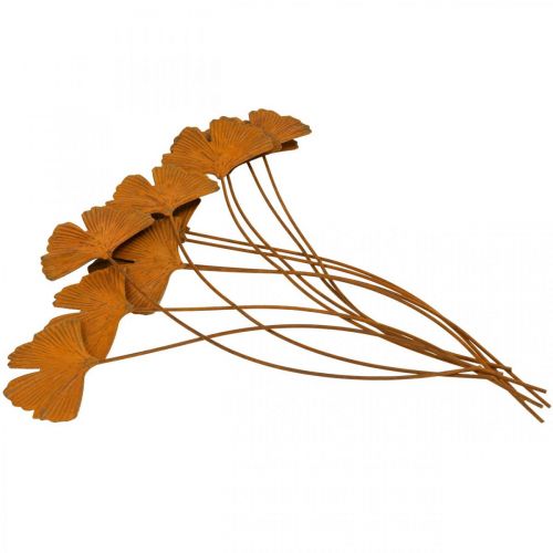 Floristik24 Trädgårdsstake rost gingko lövbäddsstake 7x5cm 6st