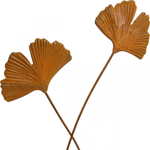 Floristik24 Trädgårdsstake rost gingko lövbäddsstake 7x5cm 6st