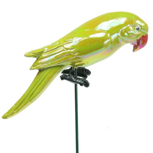 Floristik24 Trädgårdsplugg papegoja gul 16cm