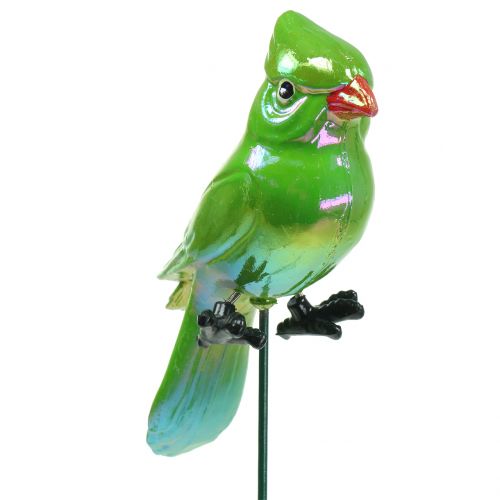 Floristik24 Trädgårdsplugg papegoja grön 16cm