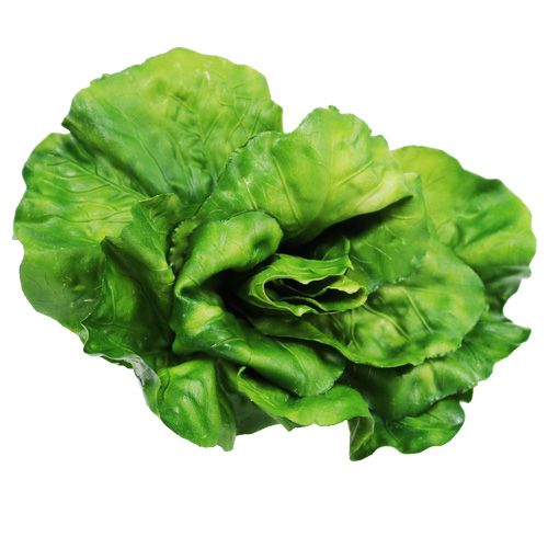 Floristik24 Grönsakssortiment på nätet