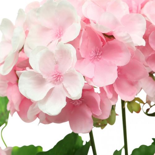 Artikel Pelargon konstgjord blomma Rosa pelargonbuske konstgjord 7 blommor H38cm