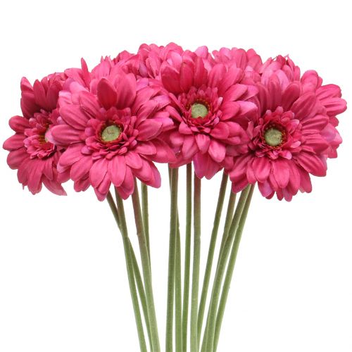 Gerbera Rosa 48cm 12st