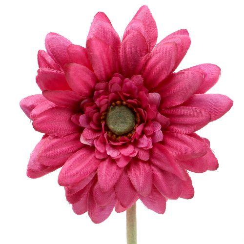 Floristik24 Gerbera Rosa 48cm 12st