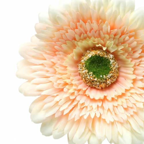 Floristik24 Gerbera konstgjord persika 62 cm 6st