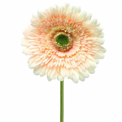 Floristik24 Gerbera konstgjord persika 62 cm 6st