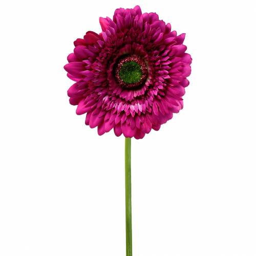 Floristik24 Gerbera konstgjord lila 62 cm 6st