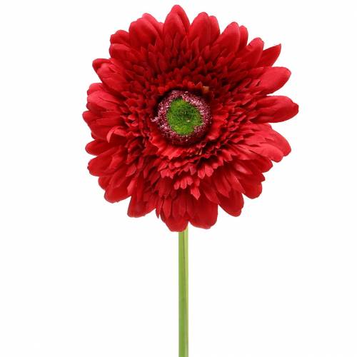 Floristik24 Gerbera konstgjord röd 62 cm 6st