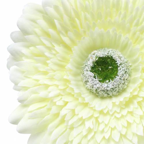 Artikel Gerbera konstgjord vit 62cm 6 st