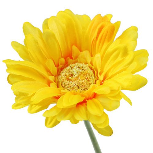 Floristik24 Gerbera konstgjord gul Ø10cm L55cm 6st