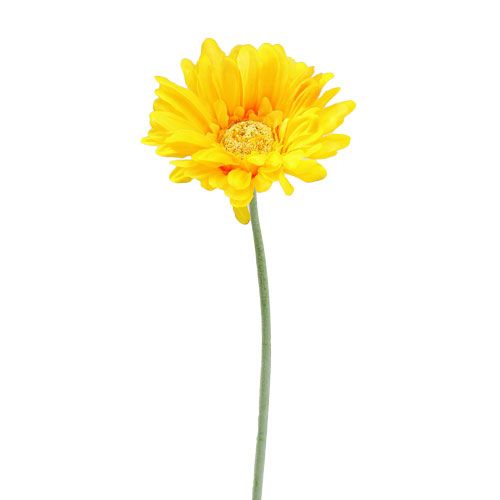 Floristik24 Gerbera konstgjord gul Ø10cm L55cm 6st
