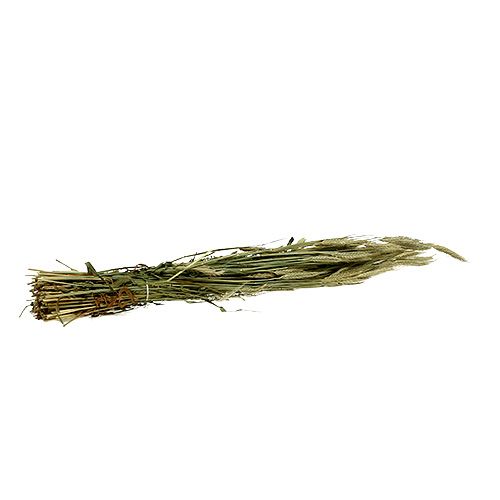 Artikel Kornkorn dekoration torr dekoration naturlig 80cm knippe 1 st
