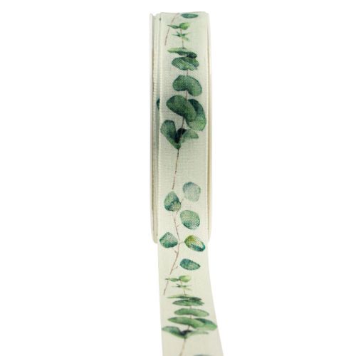 Floristik24 Presentband eukalyptus dekorationsband grönt 25mm 20m
