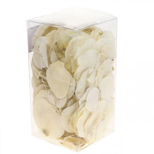 Artikel Torkade löv dekoration Moneta torr blomsterkräm 100g