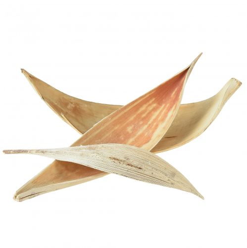 Kokosnötskal, blekta kokosblad, 22-42 cm, 25 stycken