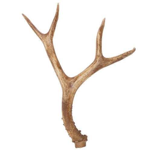 Konstgjorda horn, naturtrogna, rustika, 32 cm köpa | Floristik24.se
