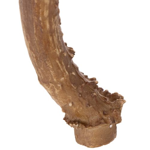 Konstgjorda horn, naturtrogna,