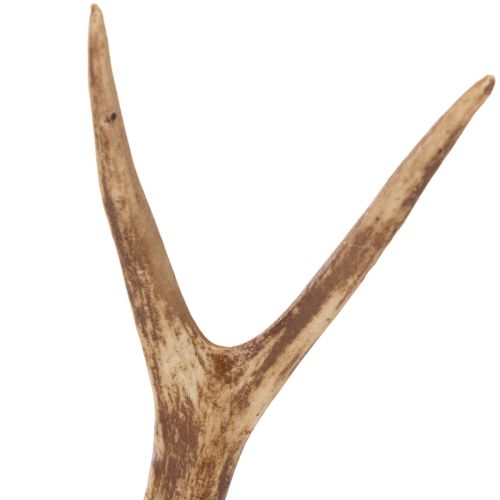 Konstgjorda horn, naturtrogna,