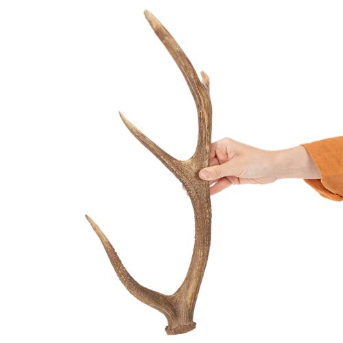 Dekorativa konstgjorda horn, rustik stugdekoration, 50 cm | Floristik24.se